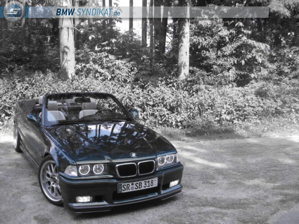 E36, 328i Cabrio Bj 1998 - 3er BMW - E36 E36, 328i Cabrio Bj 1998 - 3er BMW - E36