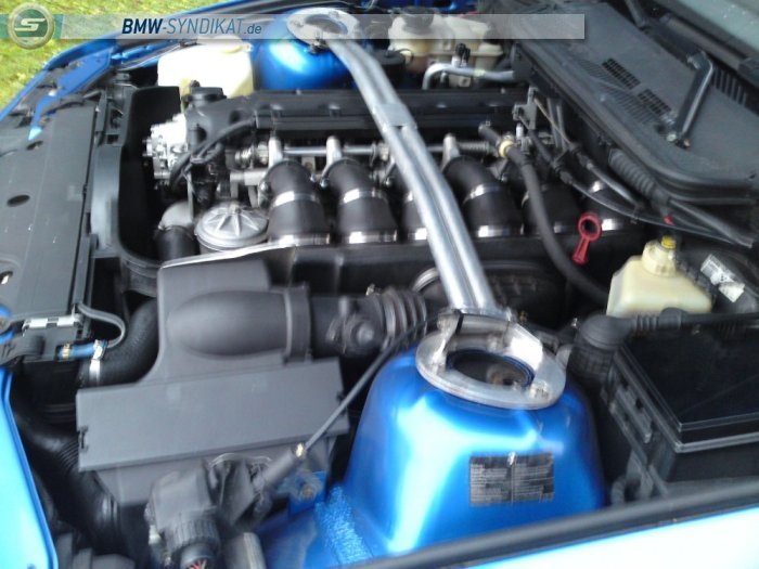 EX E36 M3 3,2 Cabrio Bj 99 der letzte - 3er BMW - E36 EX E36 M3 3,2 Cabrio Bj 99 der letzte - 3er BMW - E36
