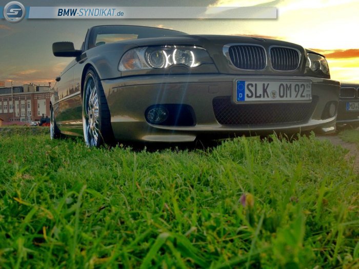 Mein Individual Cabrio - 3er BMW - E46 Mein Individual Cabrio - 3er BMW - E46