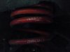 Umbau von 320i auf m3 - 3er BMW - E46 - Foto-0095.jpg Umbau von 320i auf m3 - 3er BMW - E46 - Foto-0095.jpg