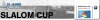 Event: BMW-Slalom-Cup 2014, 1. Lauf: Tuttlingen