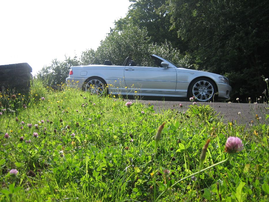 E46 330i Cabrio - 3er BMW - E46