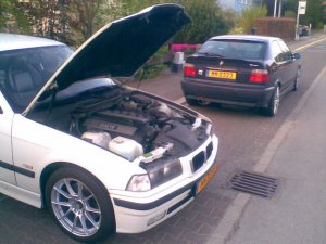 White Compact 323ti - 3er BMW - E36 White Compact 323ti - 3er BMW - E36