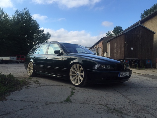 Grn-beige und tief - 5er BMW - E39