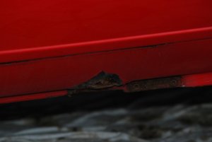 E30 316i Brilliantrot @M20B20 - 3er BMW - E30