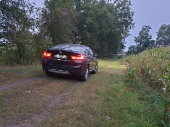X4 35d xdrixe - BMW X1, X2, X3, X4, X5, X6, X7