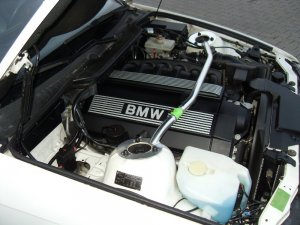 *alpinweiss III im Winteroutfit* - 3er BMW - E36