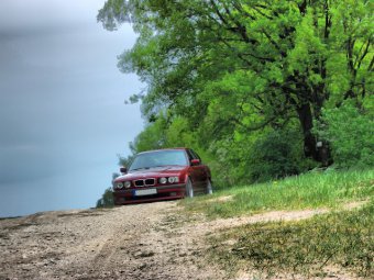 my e34 executive - 5er BMW - E34