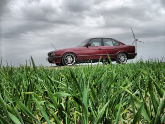 my e34 executive - 5er BMW - E34