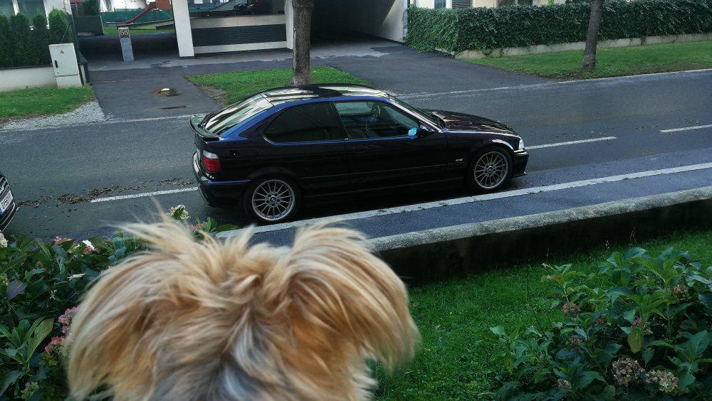 Meine kurze Zeitmaschine - 3er BMW - E36