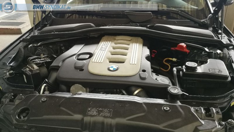 Mein erster Diesel für den Alltag - 5er BMW - E60 / E61