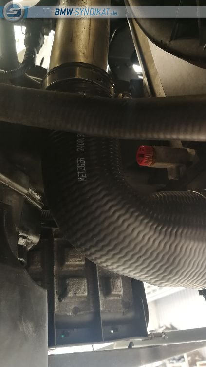 Mein erster Diesel fr den Alltag - 5er BMW - E60 / E61