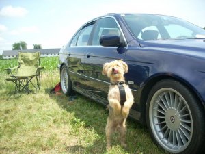 Markenoffenes Treffen des MSC-Eberhaut - Fotos von Treffen & Events