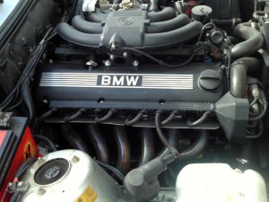 BIMMERFEST 2014 - Fotos von Treffen & Events