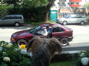 Schmornderl`s  Streusalzedition - 3er BMW - E36