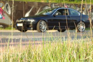 BMW E46 320Ci - 3er BMW - E46 BMW E46 320Ci - 3er BMW - E46