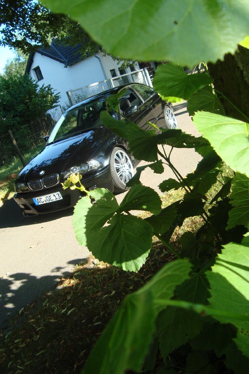 BMW E46 320Ci - 3er BMW - E46