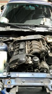 Avusblauer 320i Sport Edition - 3er BMW - E36