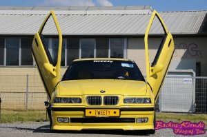 Tweety  BMW E36 316i Compact - 3er BMW - E36