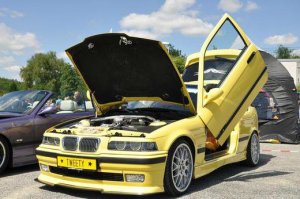 Tweety  BMW E36 316i Compact - 3er BMW - E36