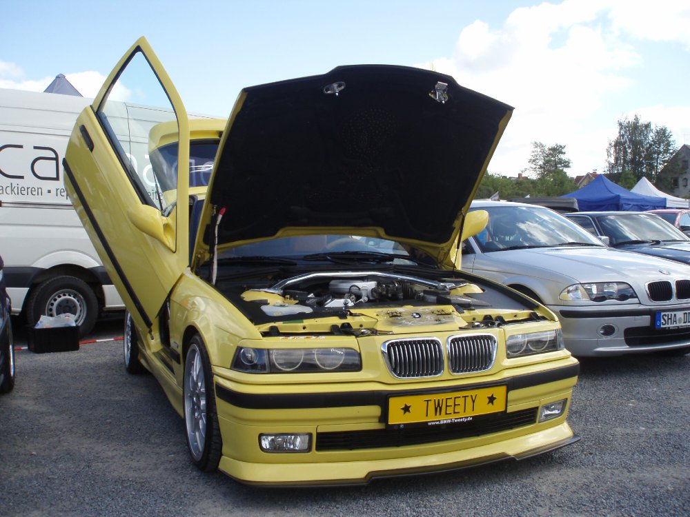 Tweety  BMW E36 316i Compact - 3er BMW - E36