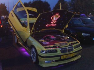 Tweety  BMW E36 316i Compact - 3er BMW - E36