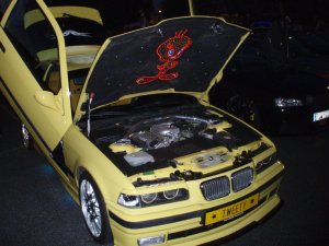 Tweety  BMW E36 316i Compact - 3er BMW - E36