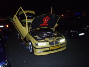 Tweety  BMW E36 316i Compact - 3er BMW - E36