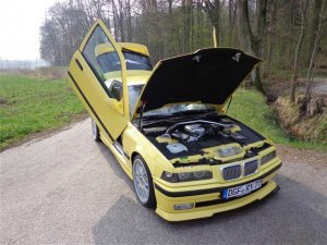 Tweety  BMW E36 316i Compact - 3er BMW - E36