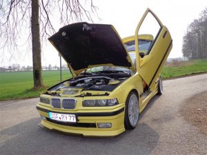 Tweety  BMW E36 316i Compact - 3er BMW - E36