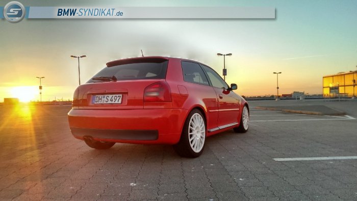 Audi S3 Winterkiste - Fremdfabrikate