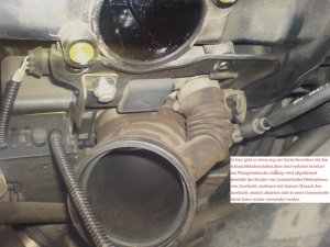 M52TU+M54 orig. BMW Kurbelgehäuseentlüftung Kaltland – Probsten