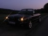 '91er BMW e30 318i Cabrio - 3er BMW - E30 - syn6.jpg