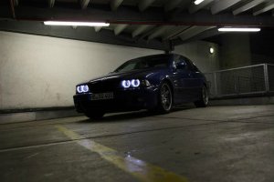 Emma - 5er BMW - E39 Emma - 5er BMW - E39