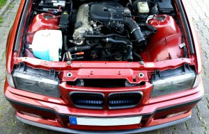 E36 Compact 1,9L Sienarot - 3er BMW - E36 E36 Compact 1,9L Sienarot - 3er BMW - E36