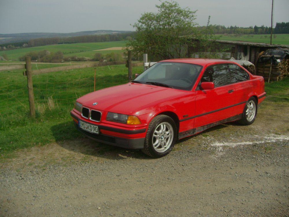 Mein Kleiner! - 3er BMW - E36