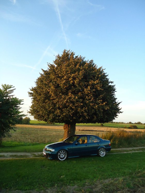 DAS PROJEKT 1 E36 Limo V8 - 3er BMW - E36
