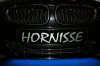Die Hornisse mit V10 5,8L - 612PS ! - neue Bilder - BMW Z1, Z3, Z4, Z8 - Expo_7743a-750.jpg