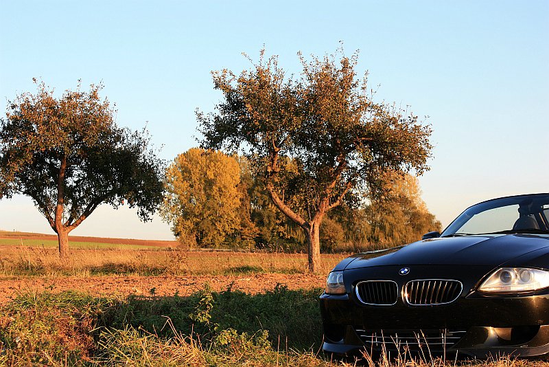 Die Hornisse mit V10 5,8L - 612PS ! - neue Bilder - BMW Z1, Z3, Z4, Z8
