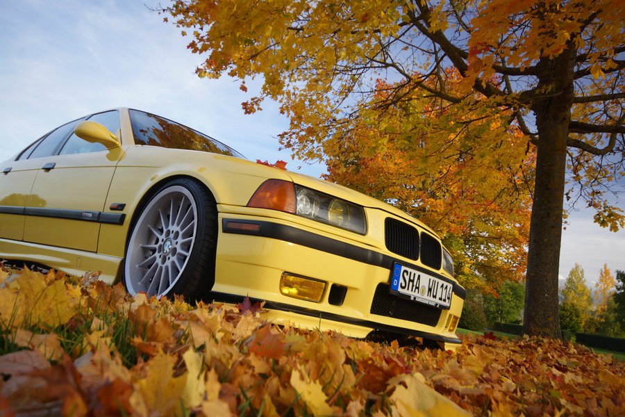 318is/4 Class2 The Story of... - 3er BMW - E36