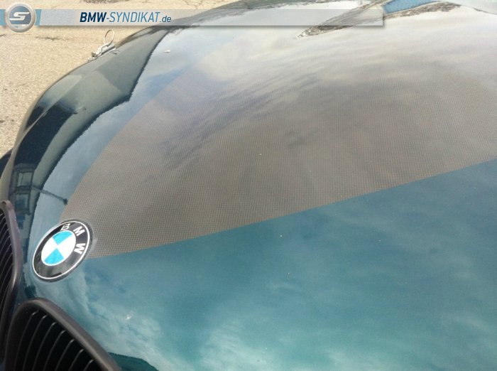 Z3 M Coup Grn 8,5x11x19 315 /25 19 - BMW Z1, Z3, Z4, Z8