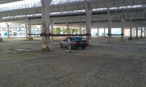 e36 QP Balck&Green*neulack*|VERKAUFT| - 3er BMW - E36 e36 QP Balck&Green*neulack*|VERKAUFT| - 3er BMW - E36