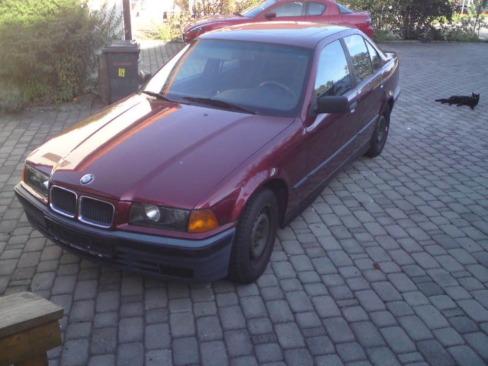 Winter-Bitch e36 - 3er BMW - E36