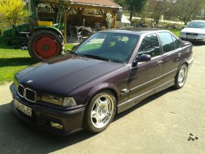 BMW 323i Bj.96 in Daytonaviolett M-Technik - 3er BMW - E36