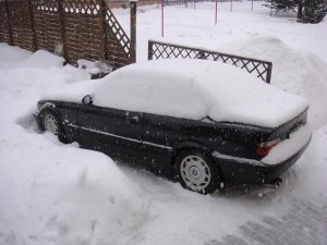 78QP320 - 3er BMW - E36