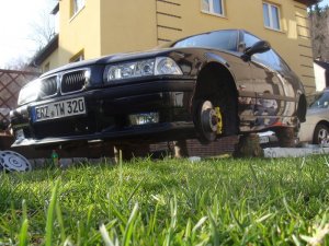 78QP320 - 3er BMW - E36