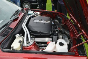 Niederlande E30 Summer Meet 2014 - Fotos von Treffen & Events