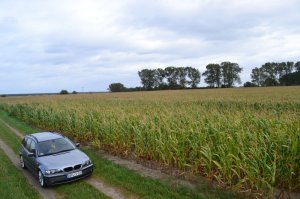 320d Edition Lifestyle - 3er BMW - E46 320d Edition Lifestyle - 3er BMW - E46