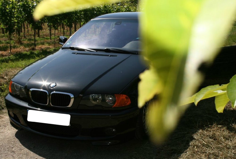 330ci ///M-Paket2 - 3er BMW - E46