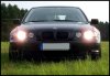 318TI - Neue Bilder mit TFL - 3er BMW - E46 - 5a herbstwiese1.jpg